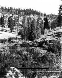 Pack Train in San Francisco Mountains