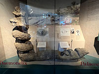 A spiral-shaped Daemonelix burrow with fossil on display in the Visitor Center Museum at Agate Fossil Beds National Monument.