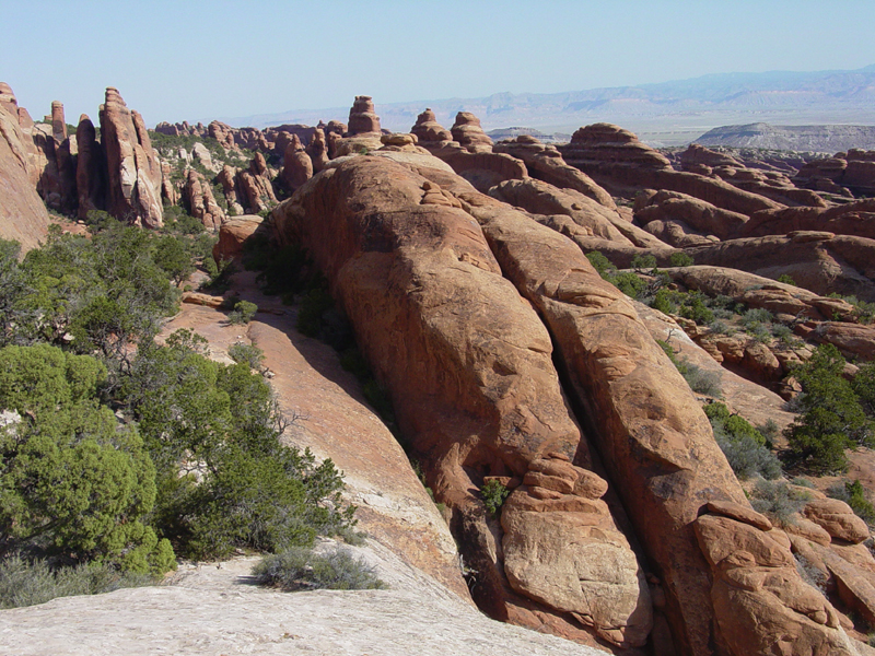 Rock fins in the Devils Garden area.