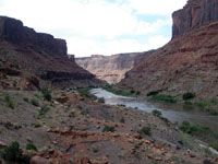 Colorado River canyon