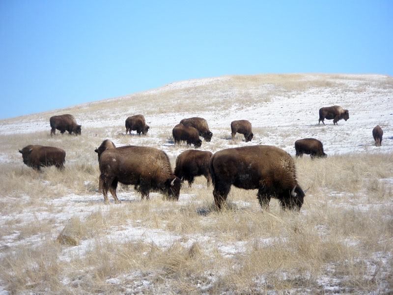 Badlands National Park