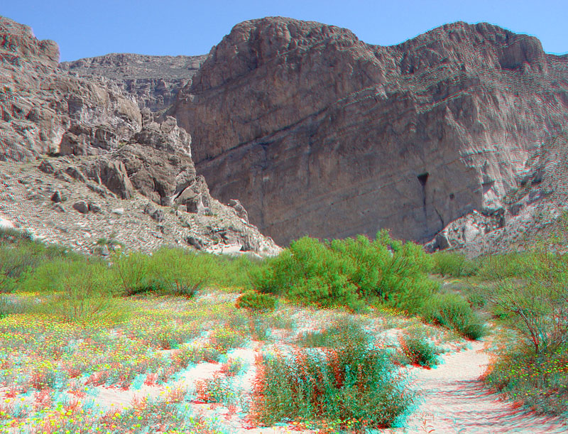 Big Bend National Park