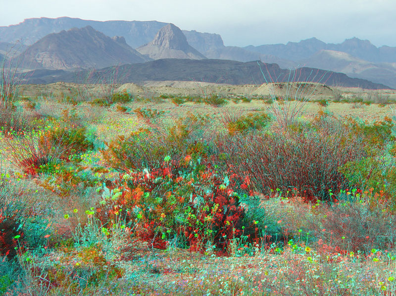 Big Bend National Park