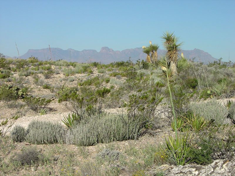 Big Bend National Park