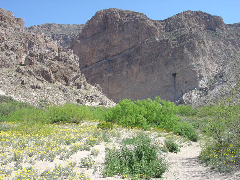 Big Bend National Park