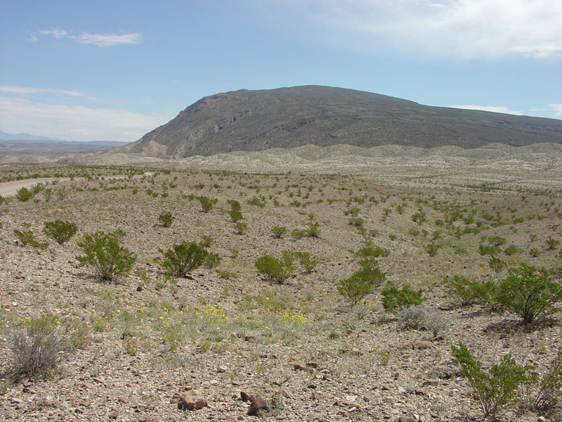 Big Bend National Park