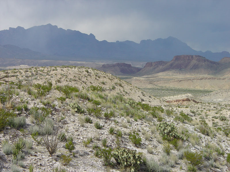 Big Bend National Park