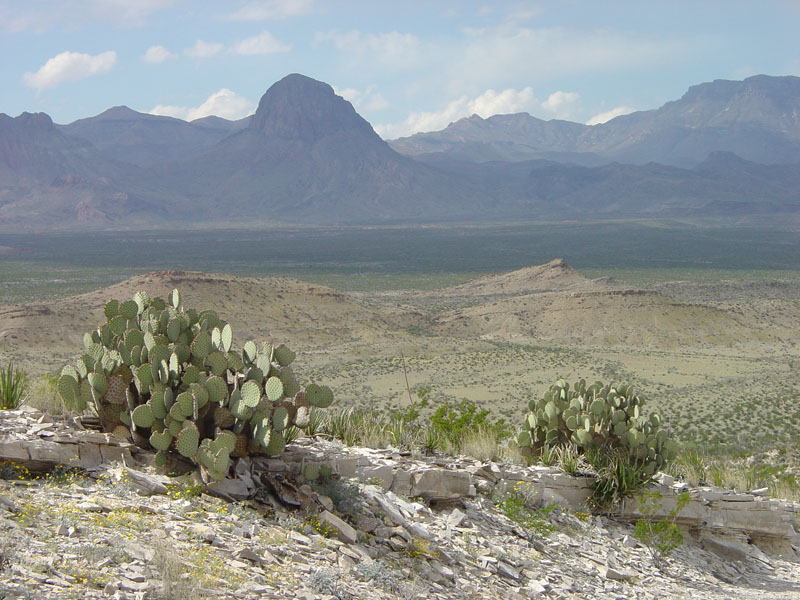 Big Bend National Park