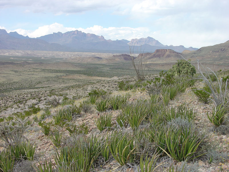 Big Bend National Park