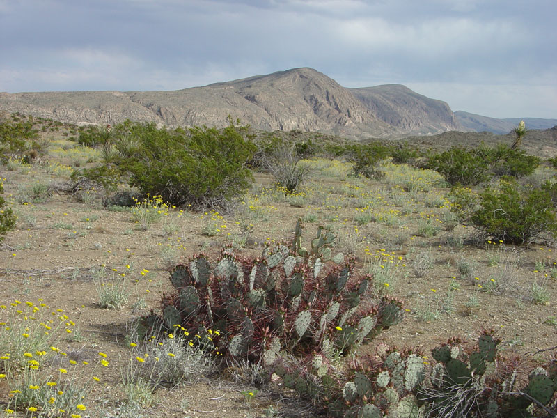 Big Bend National Park