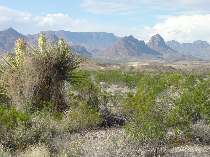 Big Bend National Park