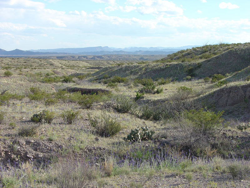 Big Bend National Park