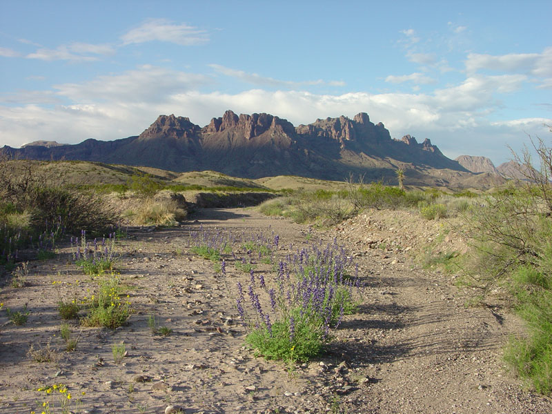 Big Bend National Park