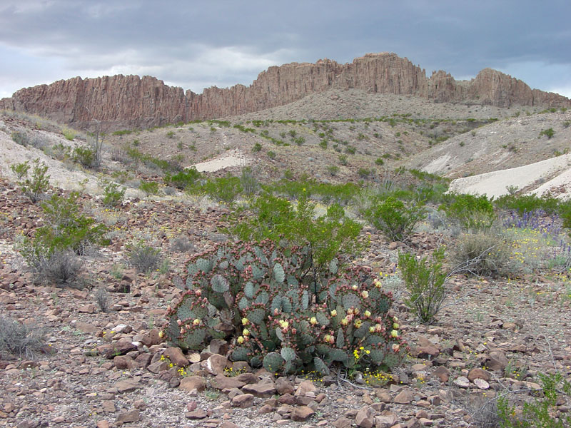 Big Bend National Park