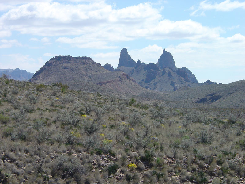 Big Bend National Park