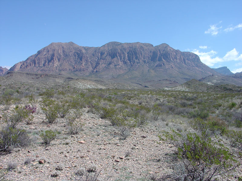 Big Bend National Park