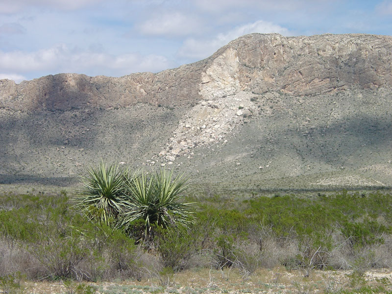 Big Bend National Park