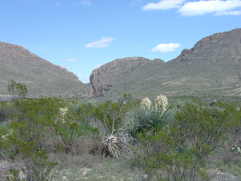 Big Bend National Park