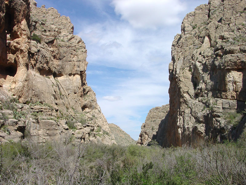 Big Bend National Park