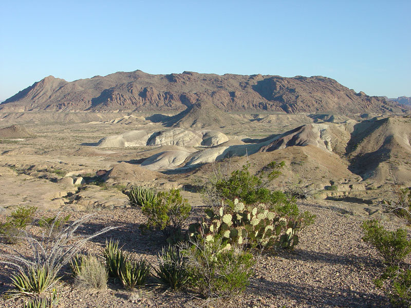 Big Bend National Park