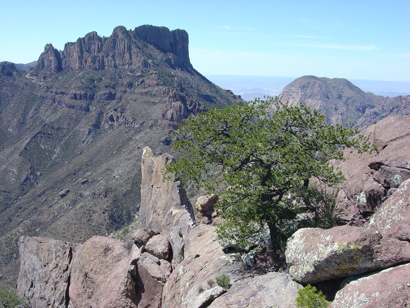 Big Bend National Park