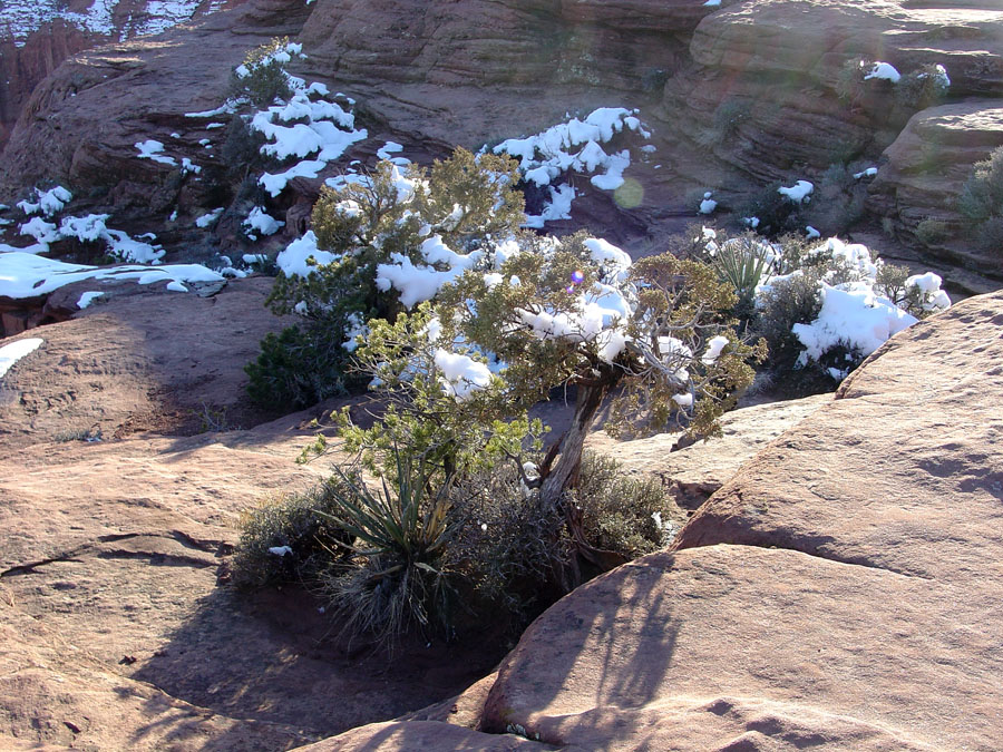 Canyon de Chelley