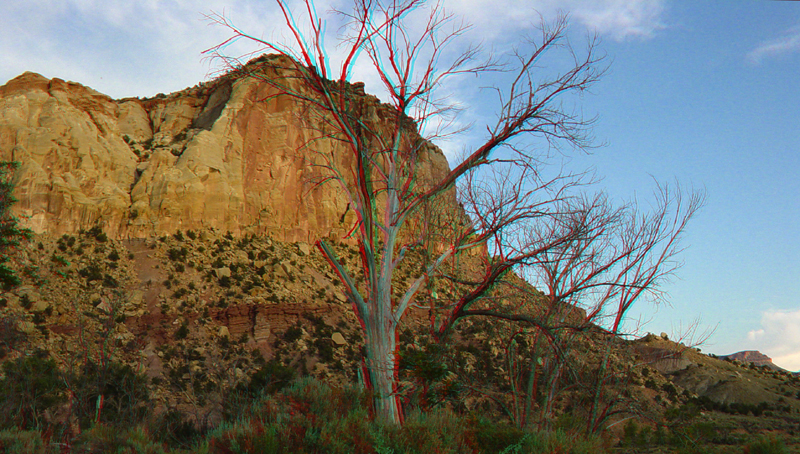 Capitol Reef National Park