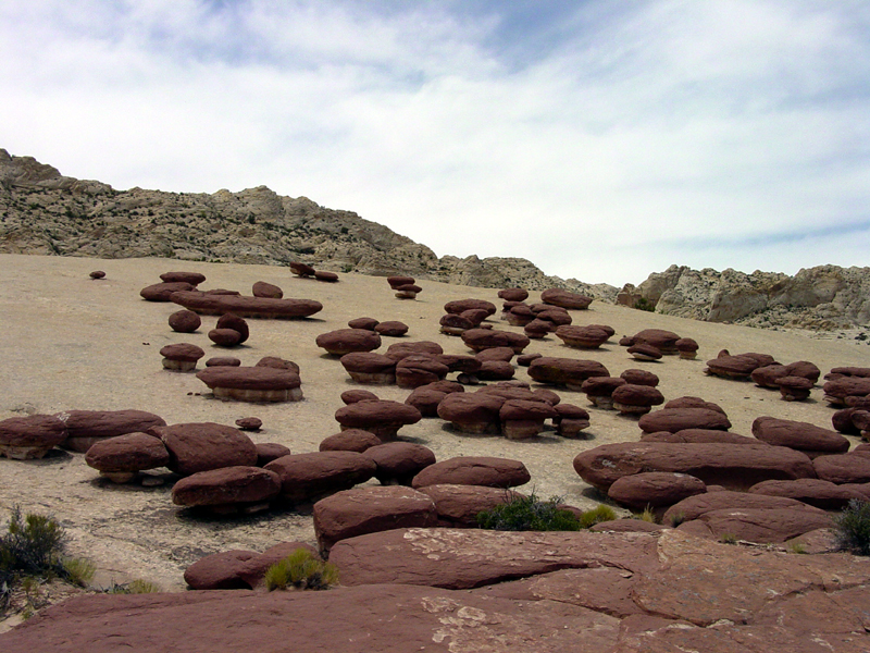 Capitol Reef National Park