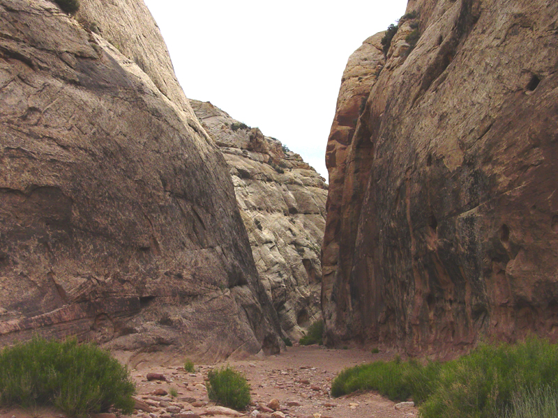 Capitol Reef National Park