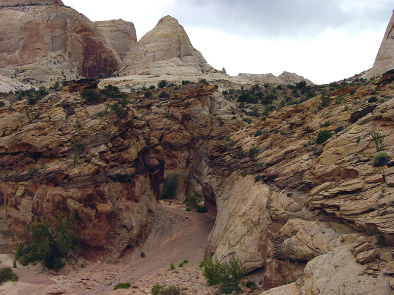 Capitol Reef National Park