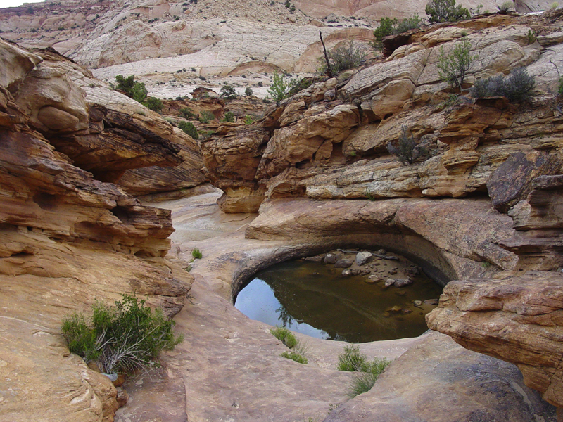 Capitol Reef National Park