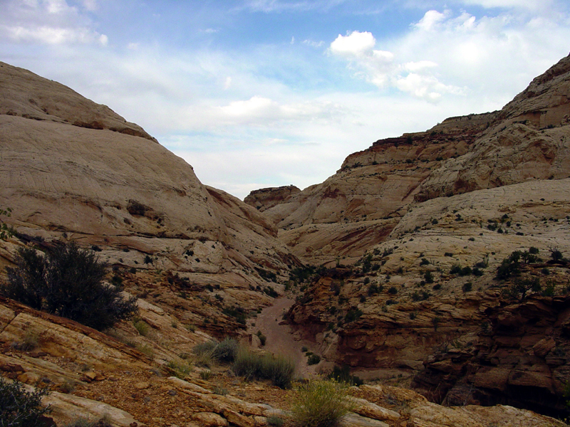 Capitol Reef National Park