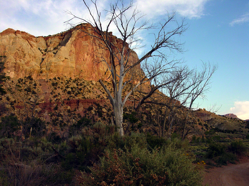 Capitol Reef National Park