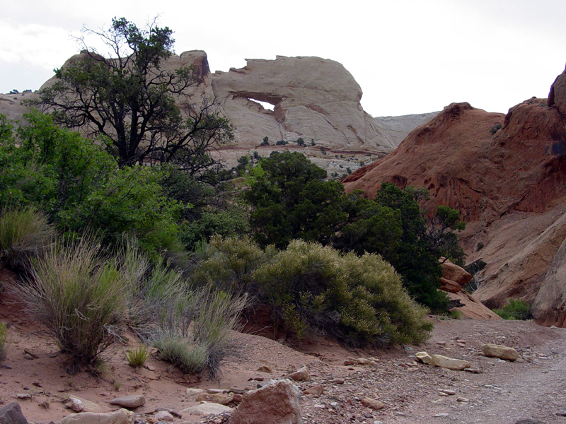 Capitol Reef National Park