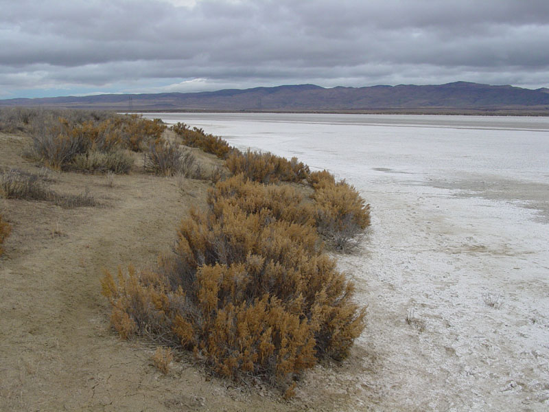 Soda Lake