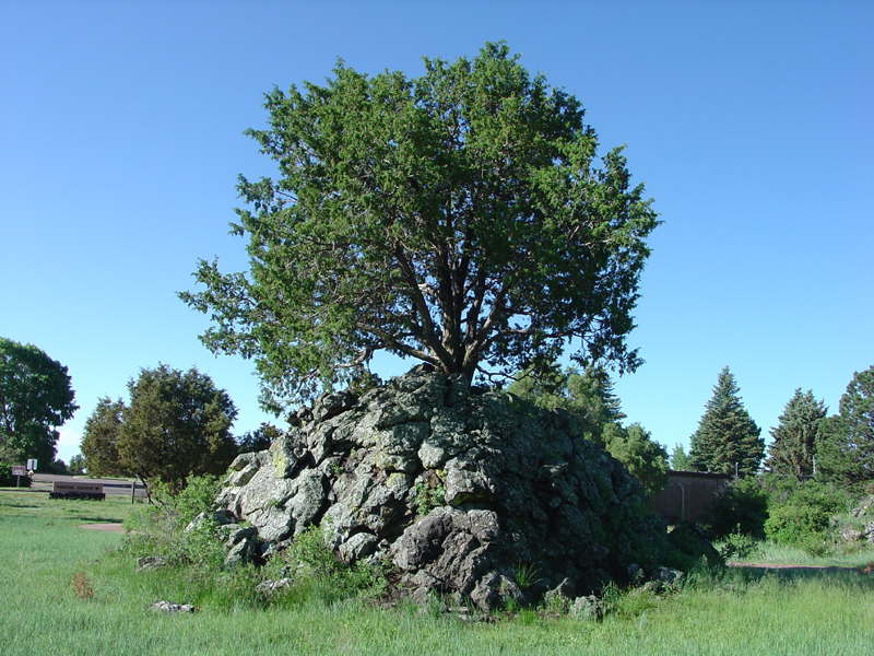 Capulin Volcano National Monument