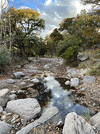 View of Bonita Creek at a creek crossing along the trail between Bonita Canyon Campground and the Visitor Center.