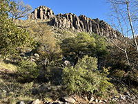 View of cliffs in morning light on the northwest side of Bonita Canyon near the campground.