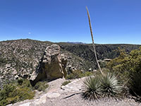 View of the plateau-like high country of the Chiricahua Mountains from near trailhead for the Massai Point Trail.