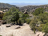 View looking down Echo Canyon from near the Massai Trailhead showing the distant basin and ranges off to the west.