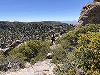 View of the high pinnacles surrounding the vicinity of Inspiration Point as seen from along the Massai Point Trail.