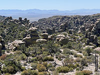 View looking down Echo Canyon from along the Massai Trail.