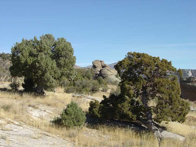 City of Rocks National Reserve