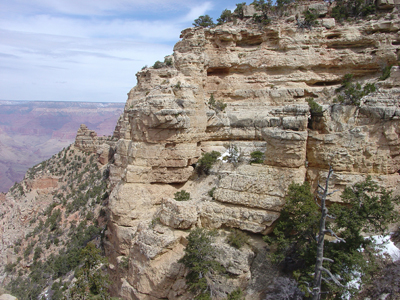 Kaibab Limestone on Grand Canyon's South Rim