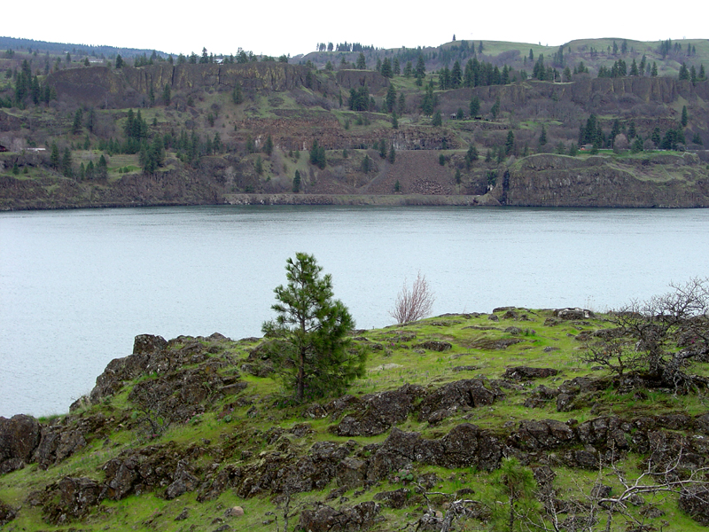 Memaloose State Park, Oregon