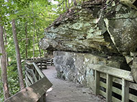 Cross-bedded Berea Sandstone along the Brandywine Falls Trail.
