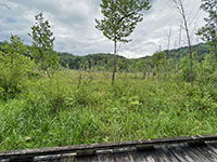 Stumpy Basin is now a marsh along the Cuyahoga River Valley.
