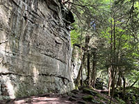 Massive cliff of the Sharon Conglomerate exposed in the Ledges escarpment.