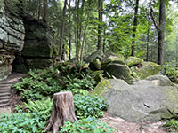 Large boulder pile from a rock fall near Ice Box Cave along the Ledges Trail.