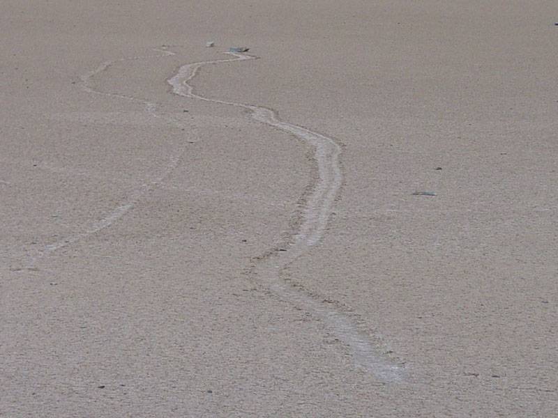 Sliding rock trails on the Racetrack Playa